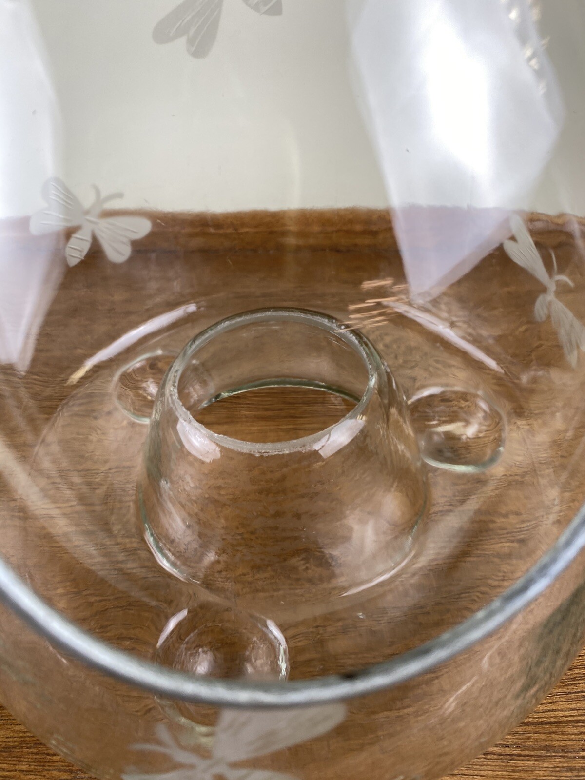 Glass Bee Catcher Trap Wasp Insect Fly Embossed Footed Hanging