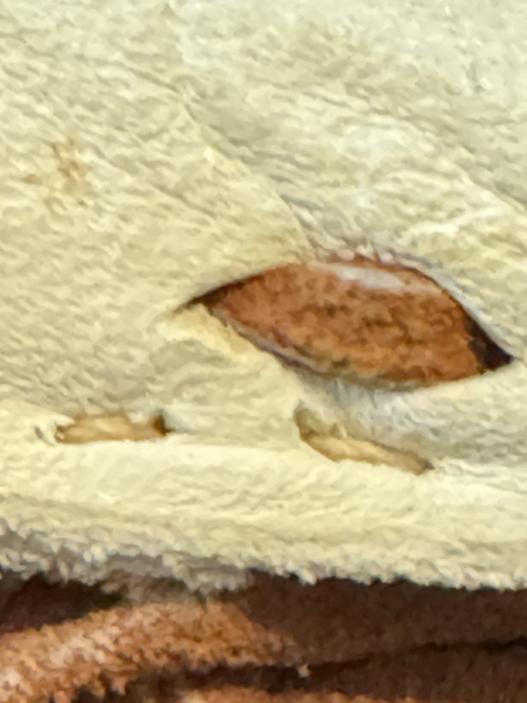 Old Native American Moccasins Navajo Apache Buckskin Hard Bottom High Top 7.5-9