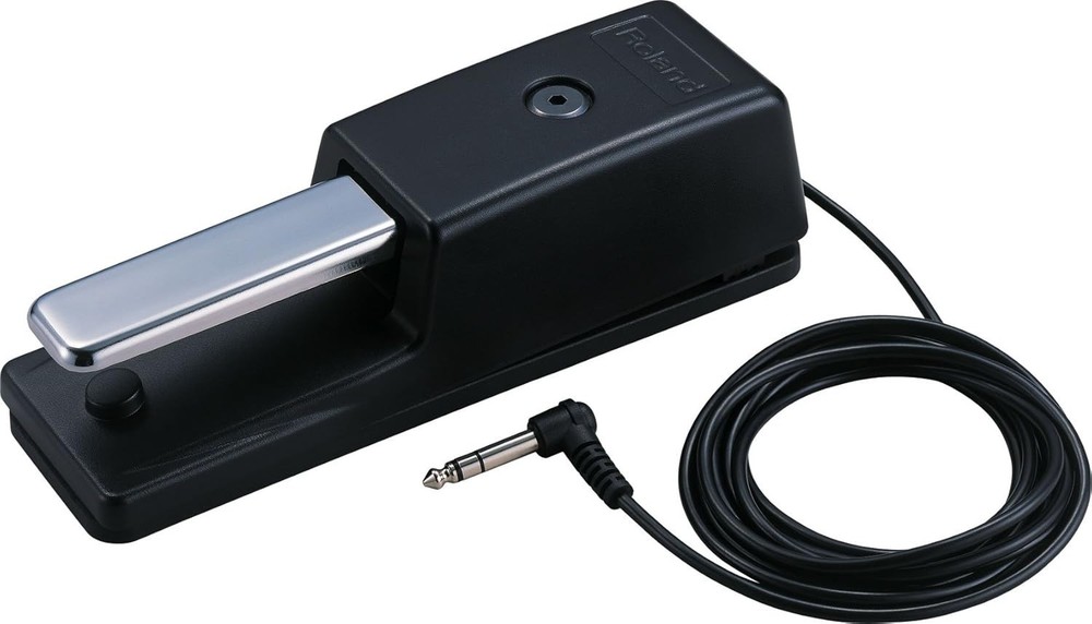 High-Quality Keyboard Pedal: DP-10 with Non-Slip Base & Push Button Control