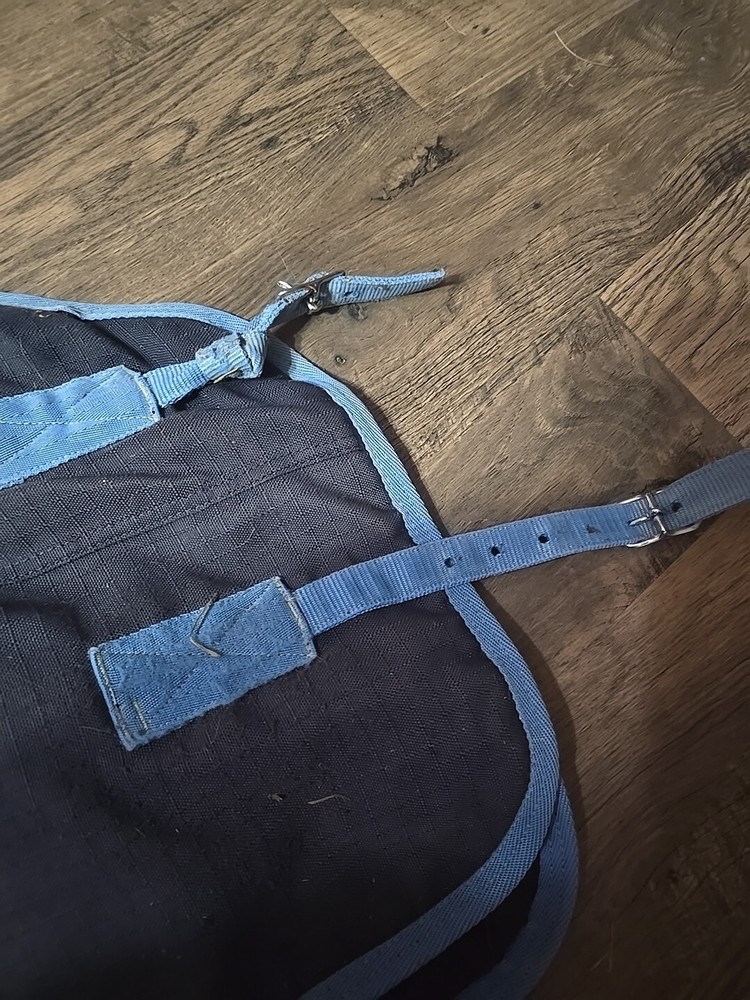 Horse Blanket