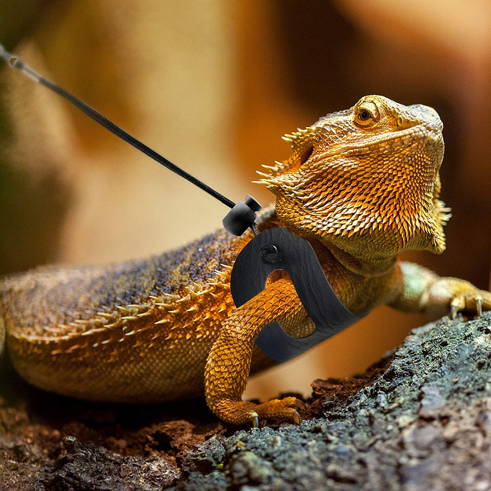 Bearded Dragon Harness and Leash Adjustable Leather Lizard Reptiles