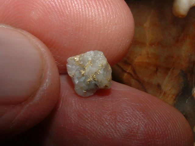 GOLD QUARTZ SPECIMEN .36 GRAM BLUE MTNS OREGON GOLD