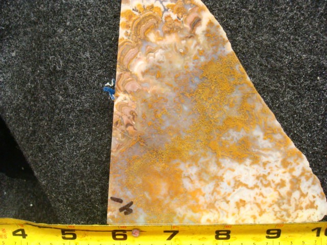 riveria plume slabs