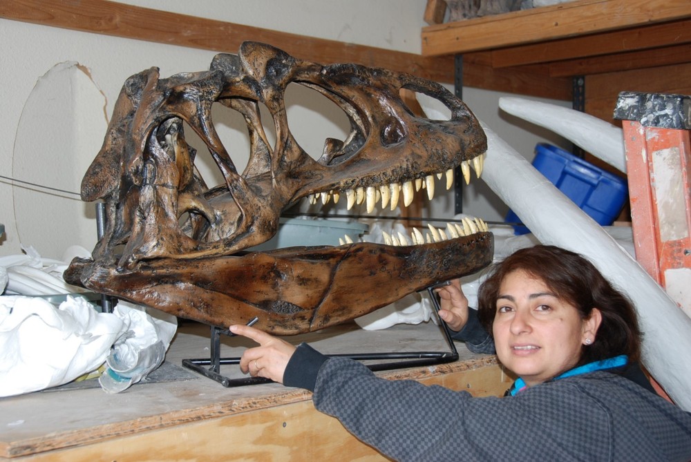 ALLOSAURUS FRAGILIS SKULL REPLICA