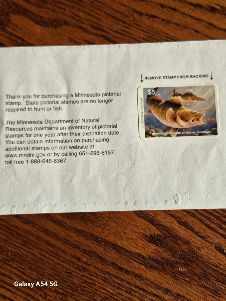 2013 MNDNR WALLEYE STAMP