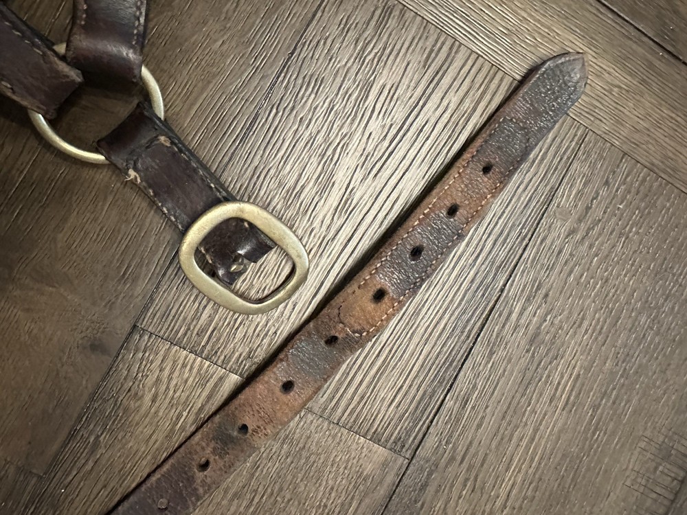 Horse Tack - Leather Track Halter