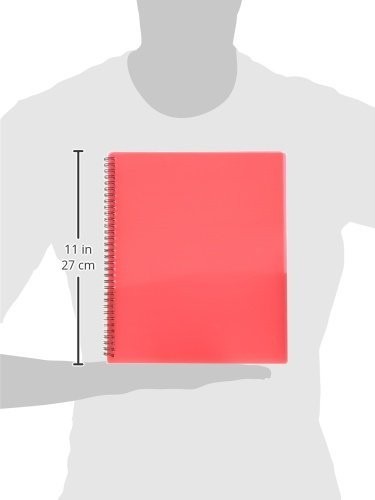 Poly 8-Organizer, Letter Size Folder, Durable Translucent Poly, Wire Pocket