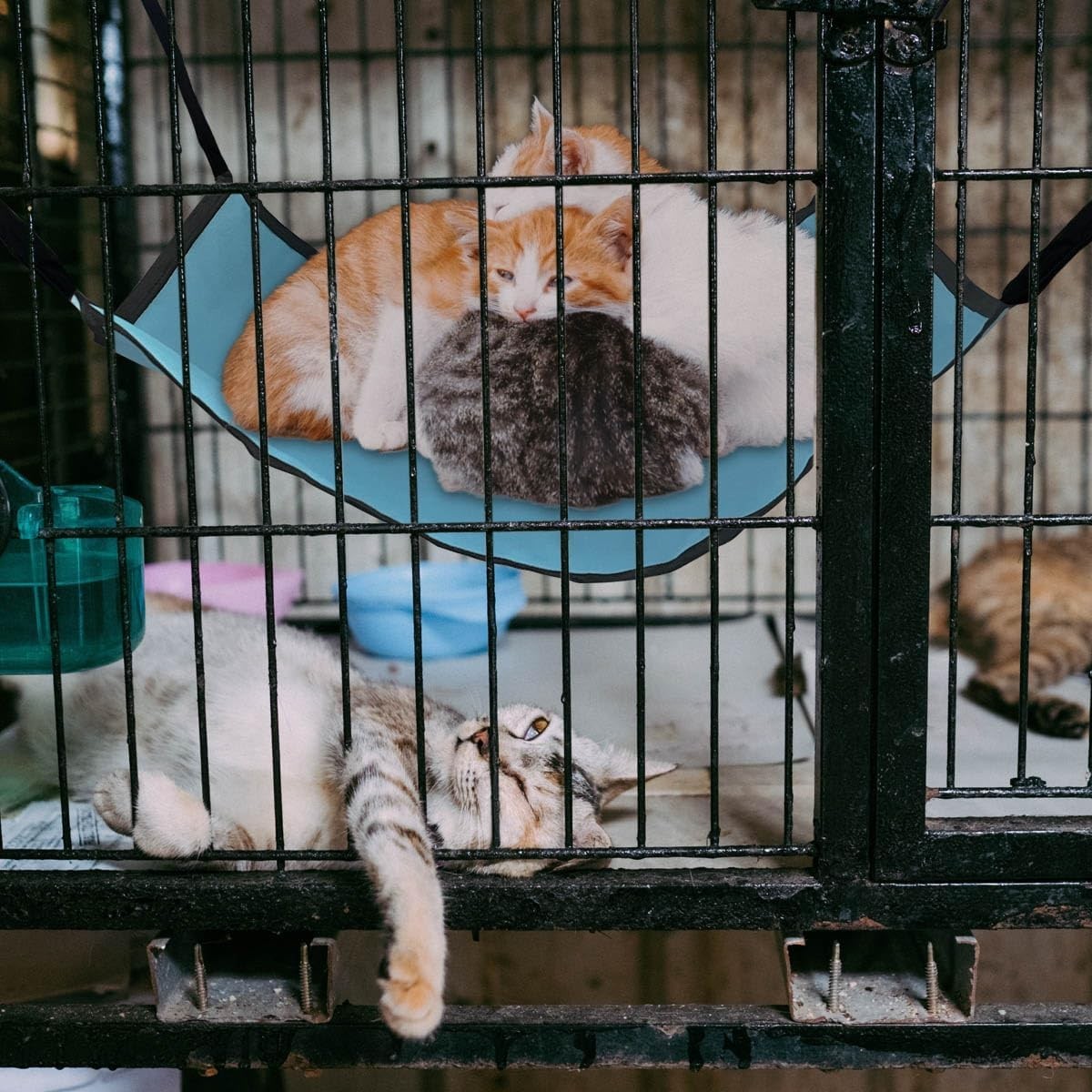 Durable Oxford and Cotton Cat Hammock for Relaxation - Easy Wash and Maintenance