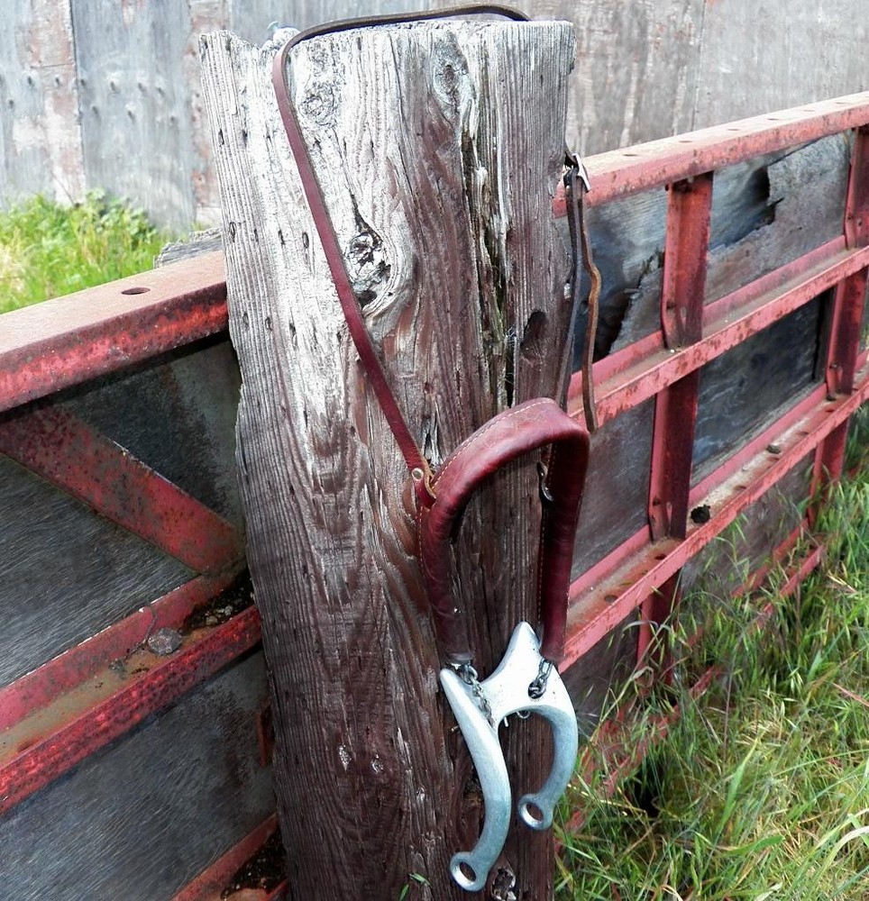 Vintage Quick Bits Quickstop Fast Stop QQS Training Bosal Hackamore