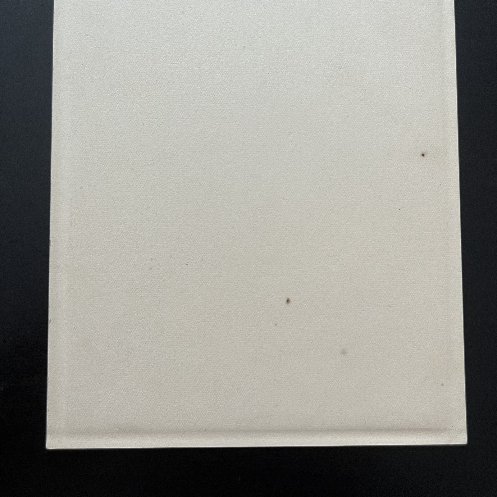 c.1918 WWI Aeronautical Division, Signal Corps Pilot Studio Portrait Photo