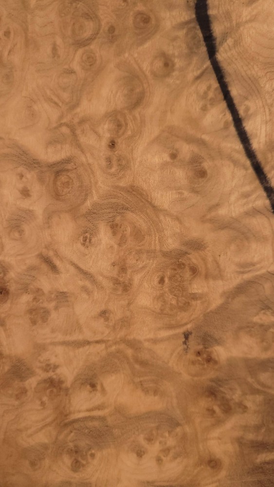 True Master Grade One Piece Maple Burl Thick Drop Top