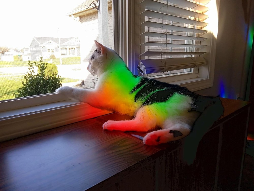 Reusable DIY Diffraction Grating Sheet 6" x 36" - Perfect for Creative Projects