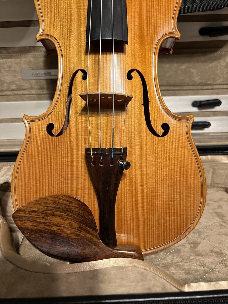 Professional 4/4 Violin E, D. Brvino SV-1 With Case