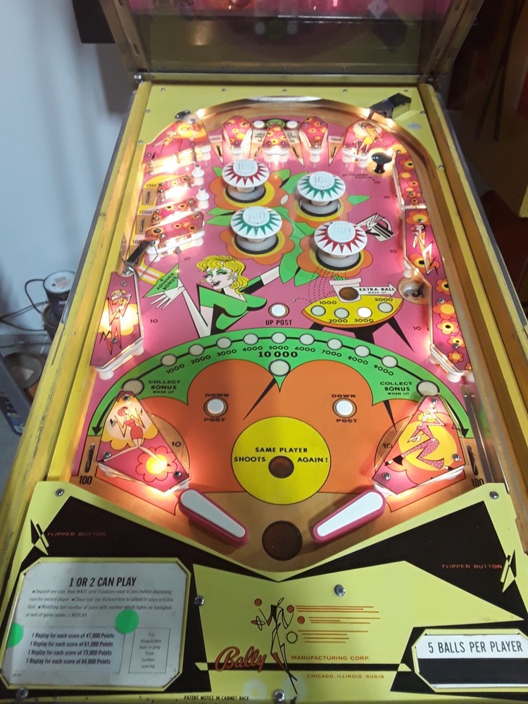 Zip-A-Doo Pinball Machine by Bally