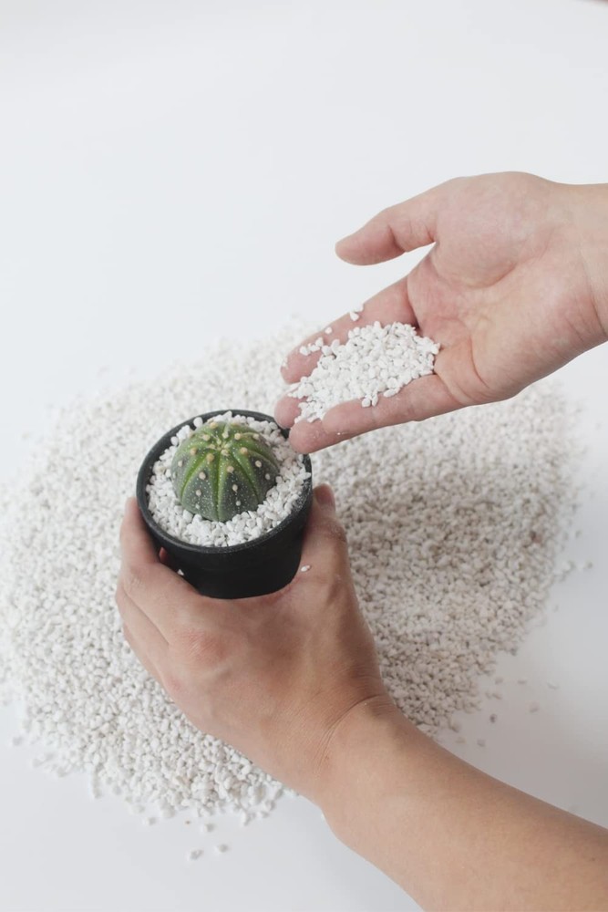 2 Quart Organic Perlite Horticultural Soil Amendment for Plants 2QT,