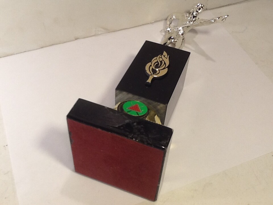 Billiards Trophy Pool Shooter Trophy item 14