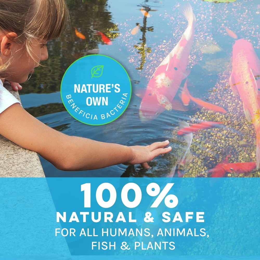 Effective Pond Maintenance Solution