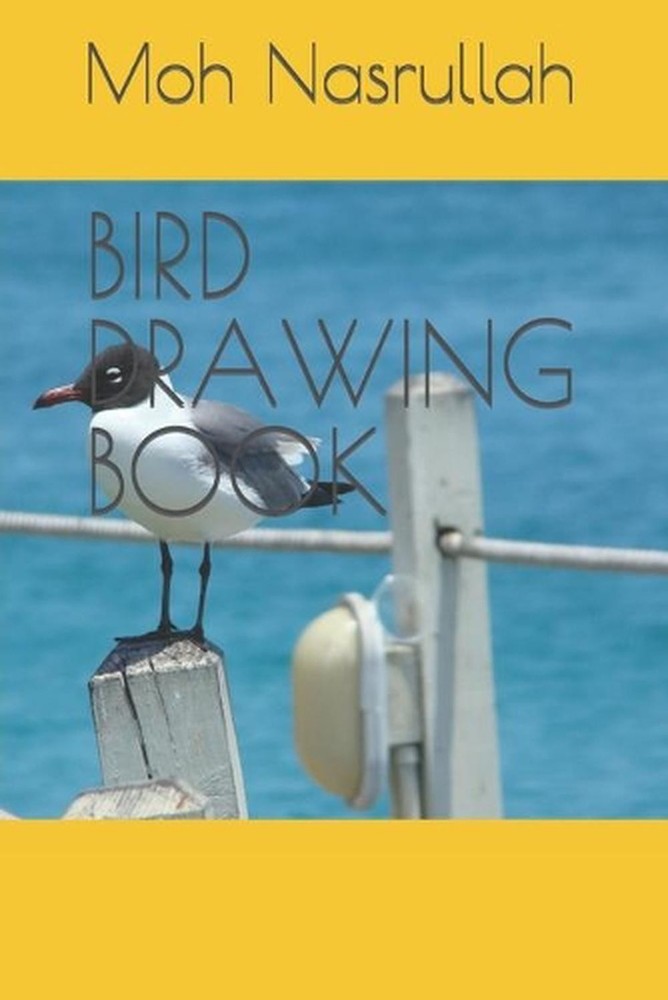 Bird Drawing Book
