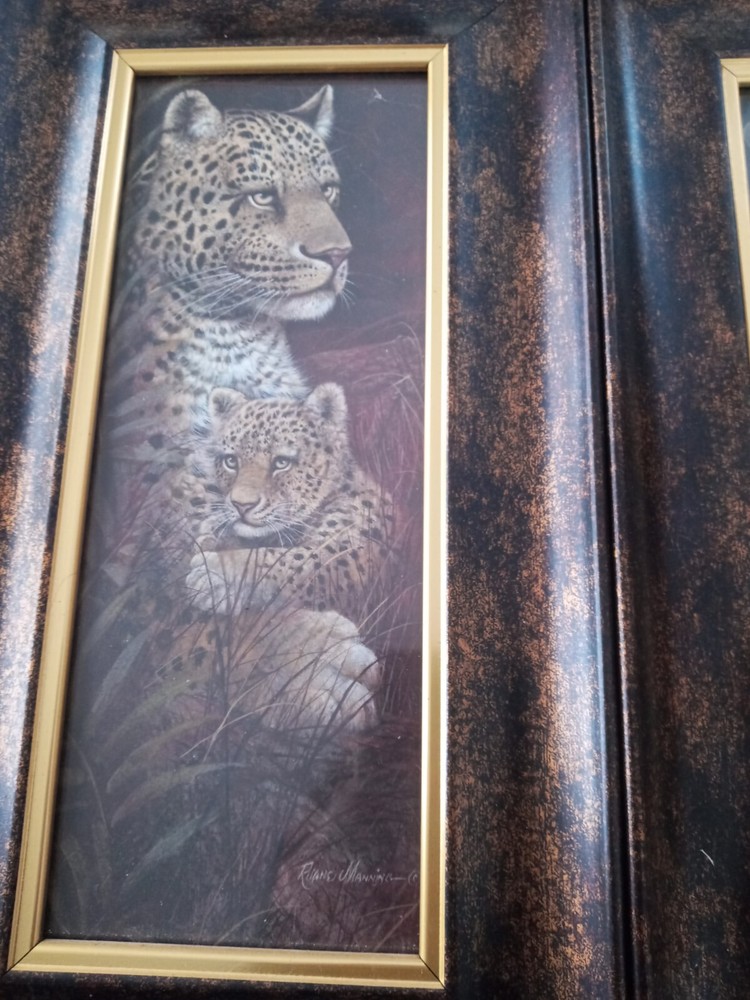 Safari Pictures In Frames