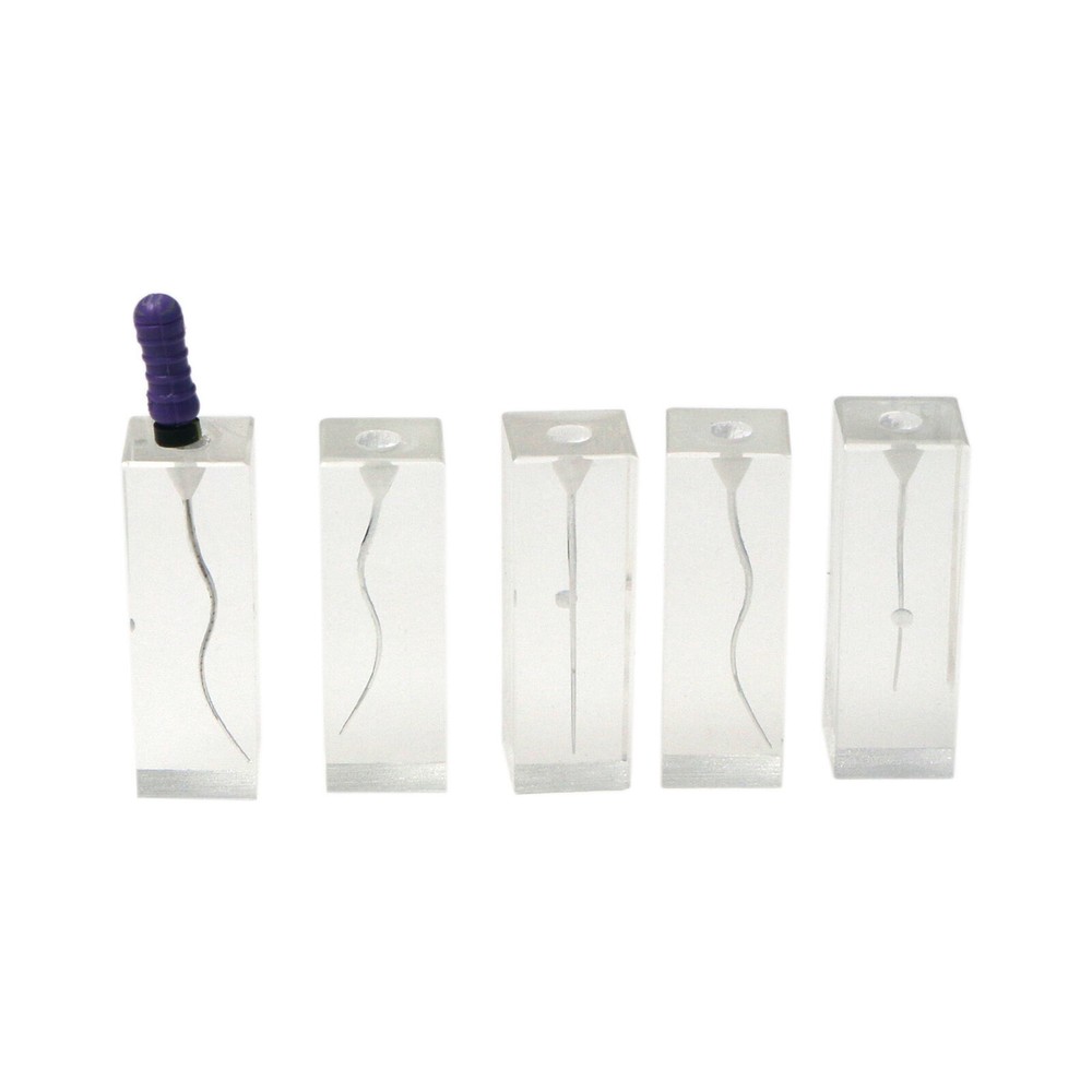 5pcs Dental Endodontic Root Canals Practice Model Endo Training Block Clear