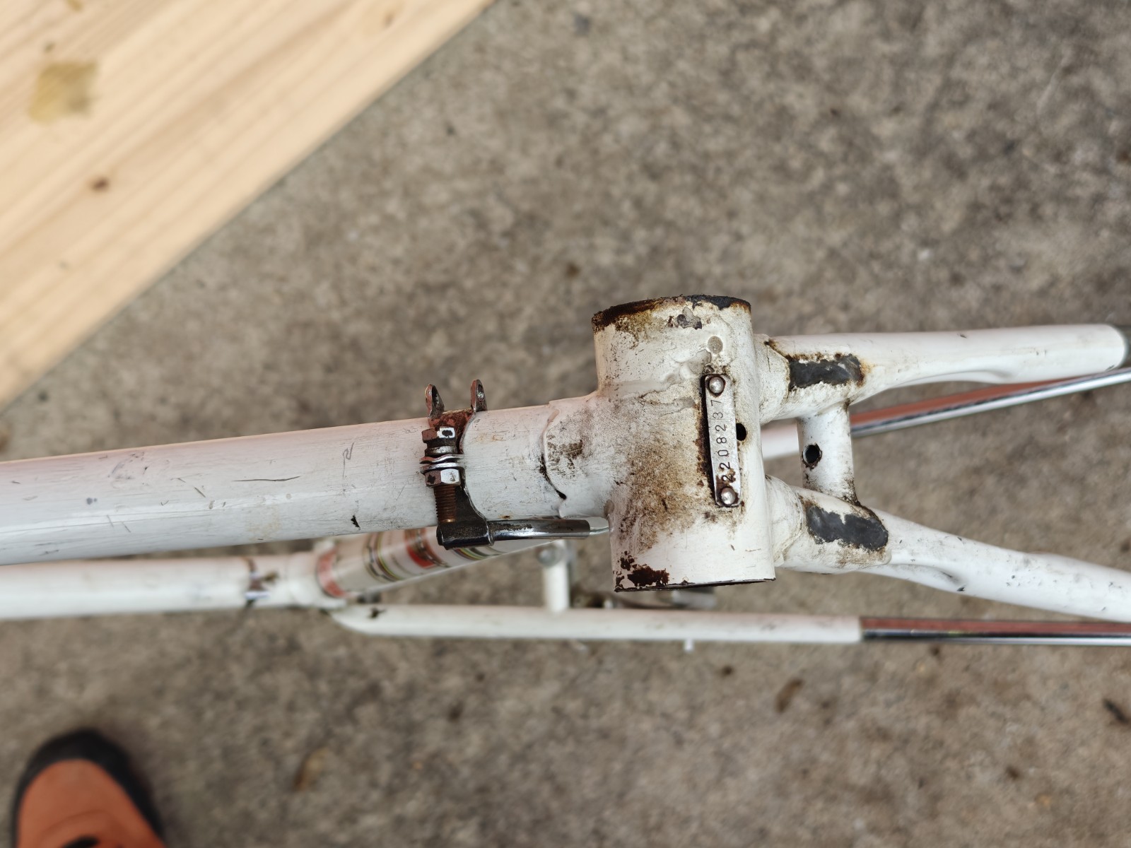 Peugeot PX-10 Vintage Bicycle Frame / Partial Bicycle 54/55cm