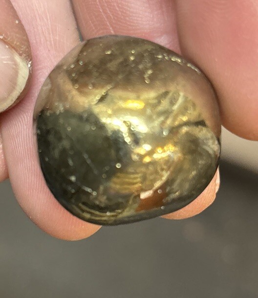 1 Piece Tumbled Chalcopyrite Average Size 30 Grams