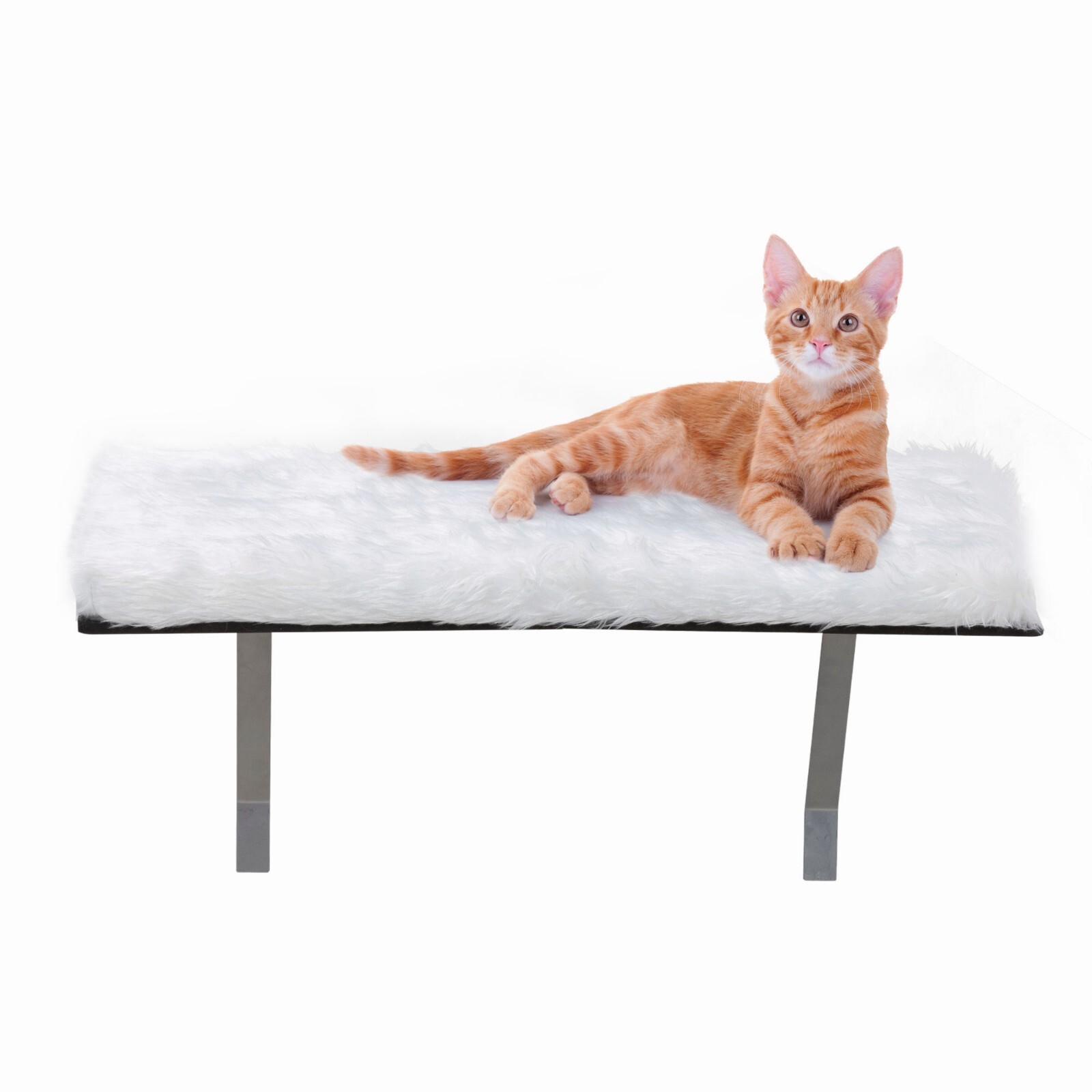 COZIWOW Cat Perch Cat Hammock Window Seat Padded Cat Wall Bed for Sunbathing