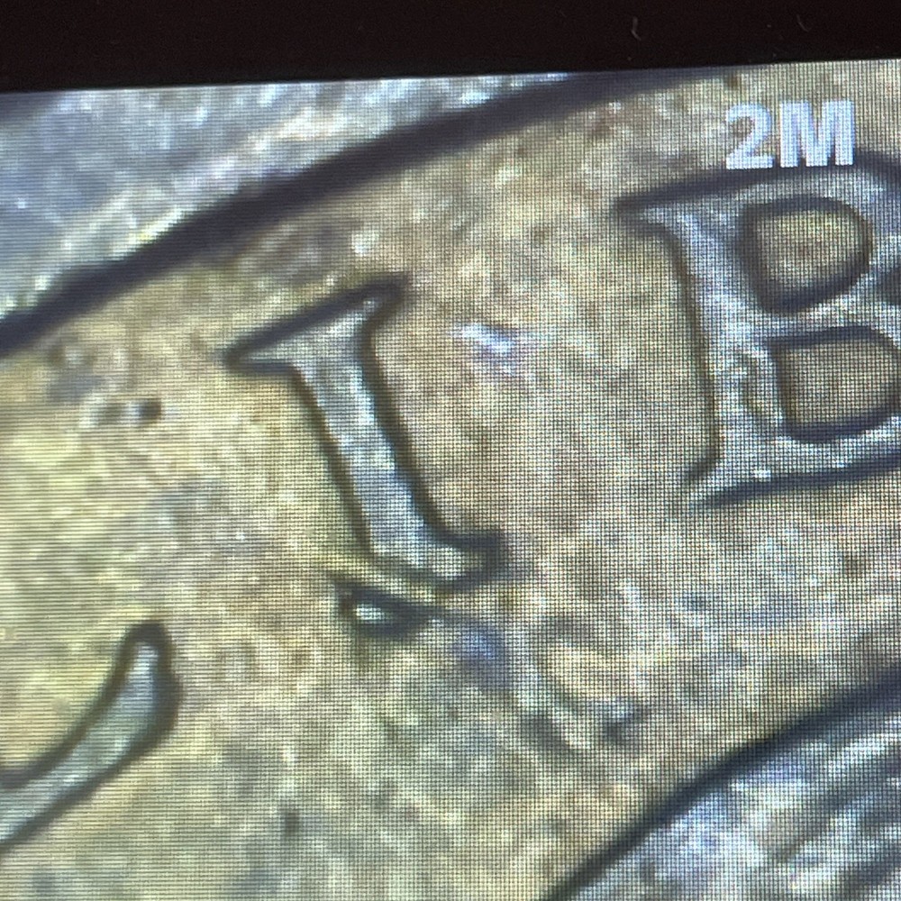 2000 p & d sacagawea dollar, Die Cracks And Chips +