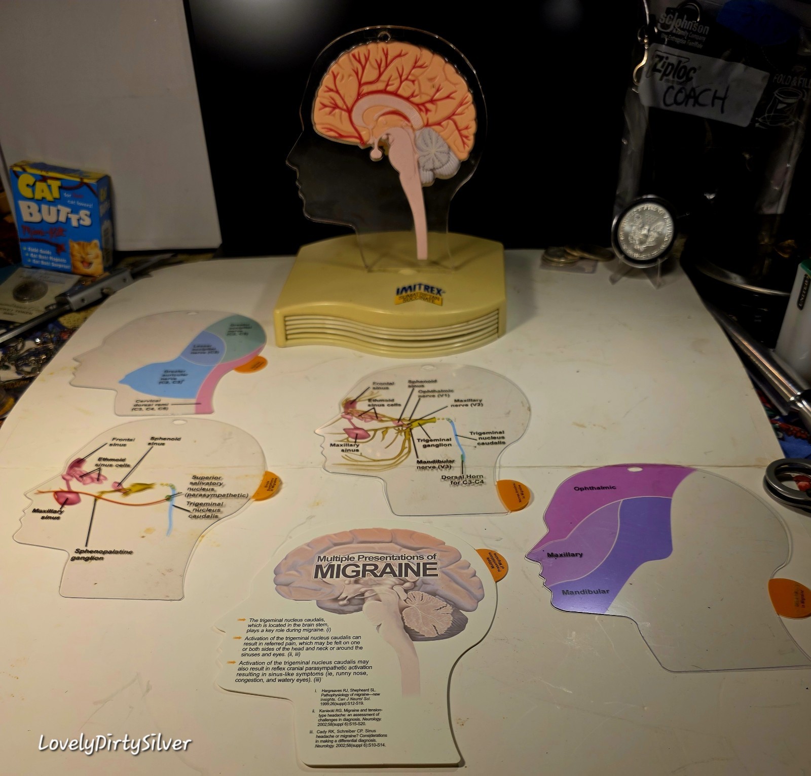 Horror 2002 3D Brain Neuroanatomical Medicine Promo ~ Doctor's Display