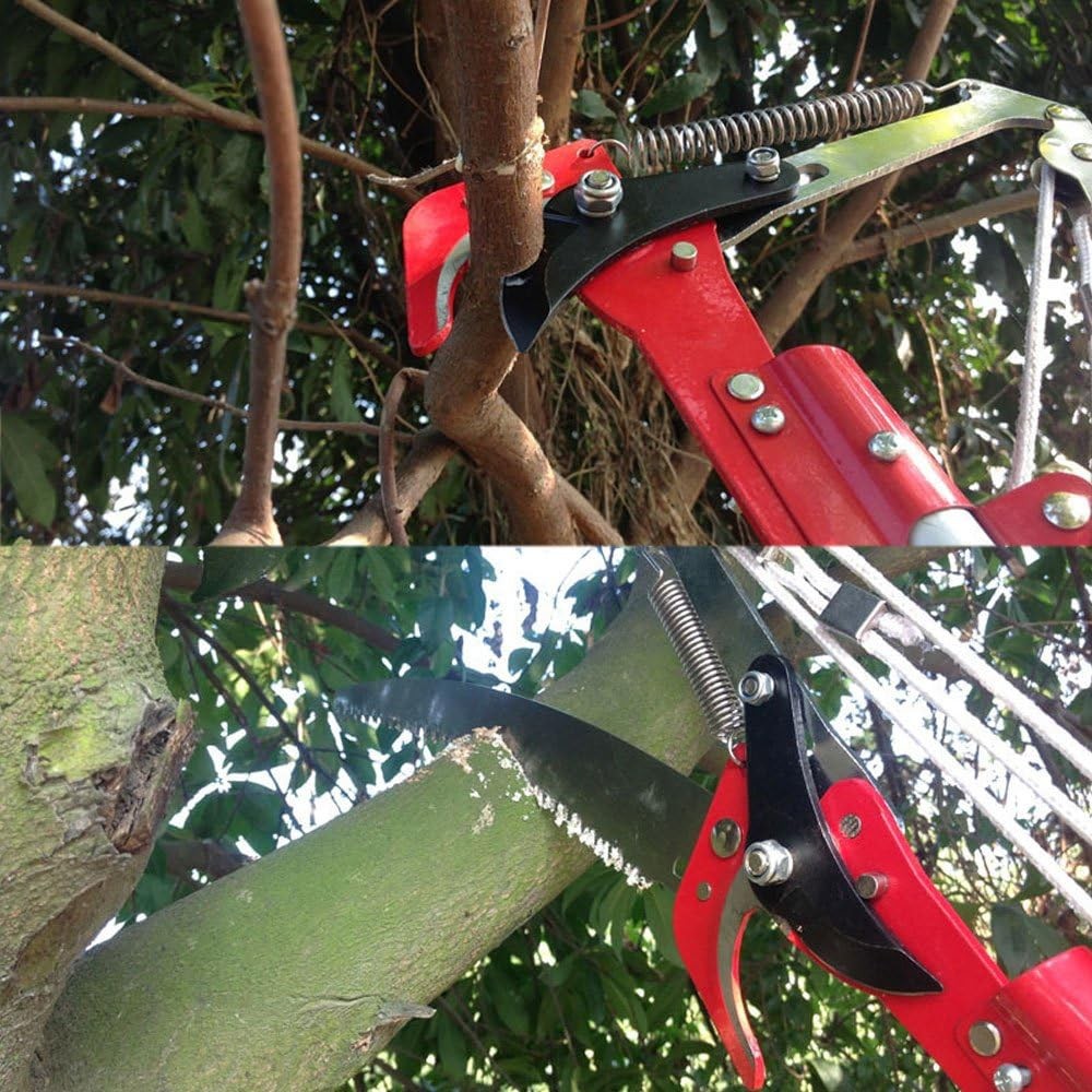 High Reach Tree Trimmer Pruner Saw Branch Cutter Pruning Tool Without Pole US