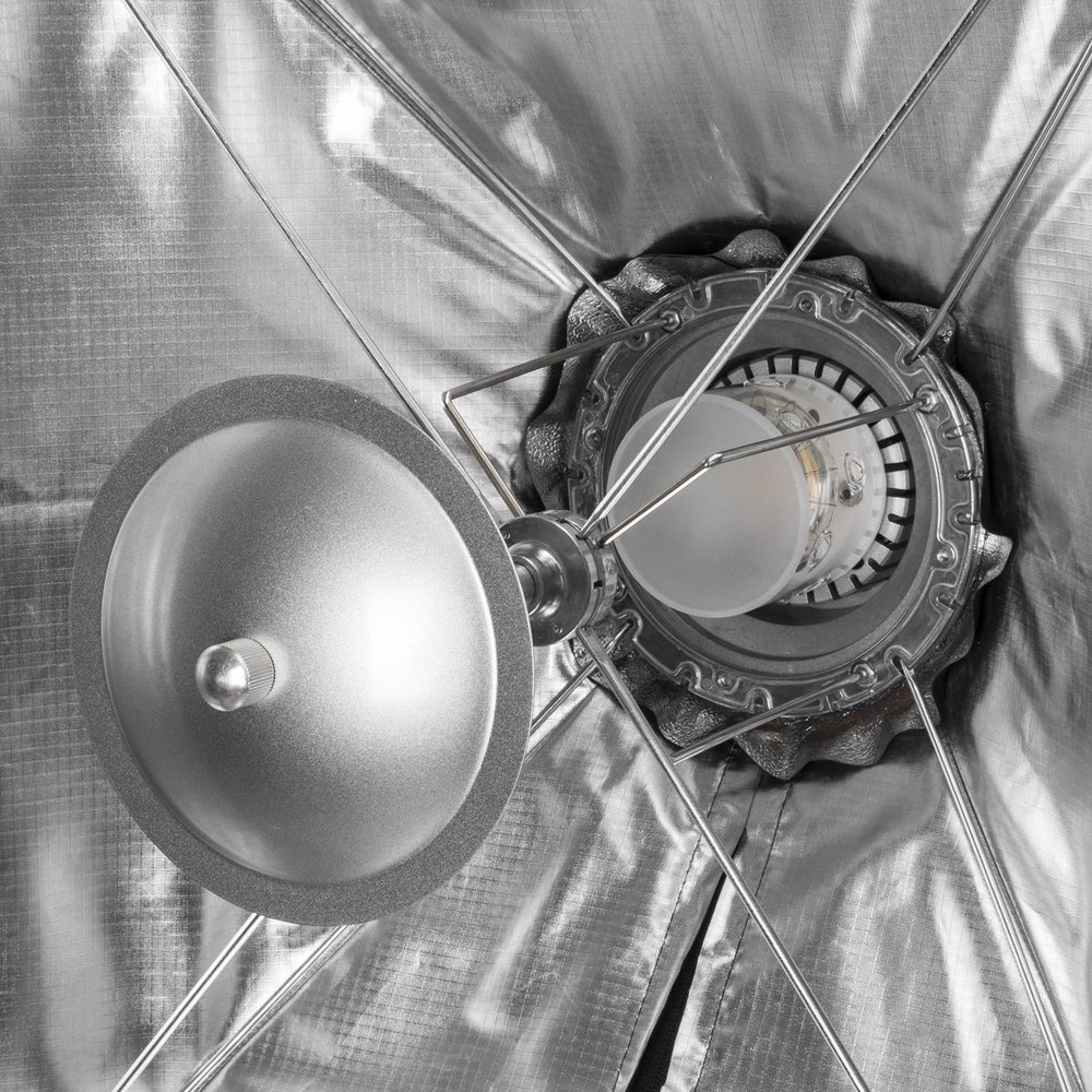 Glow EZ Lock 31x47" Quick Rectangular Softbox With Bowens Mount #EZ-SB-3147