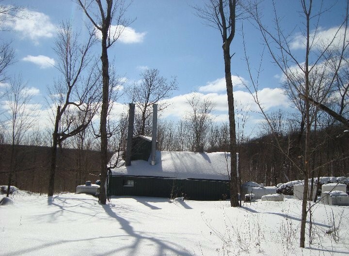 One Gallon 100% Pure Wisconsin Maple Syrup Grade A Dark Amber/Dark Robust Taste