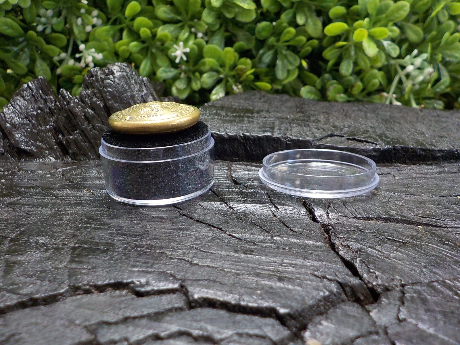 24k Gold Plated Confederate Staff Officers Coat Button with Free Button Case