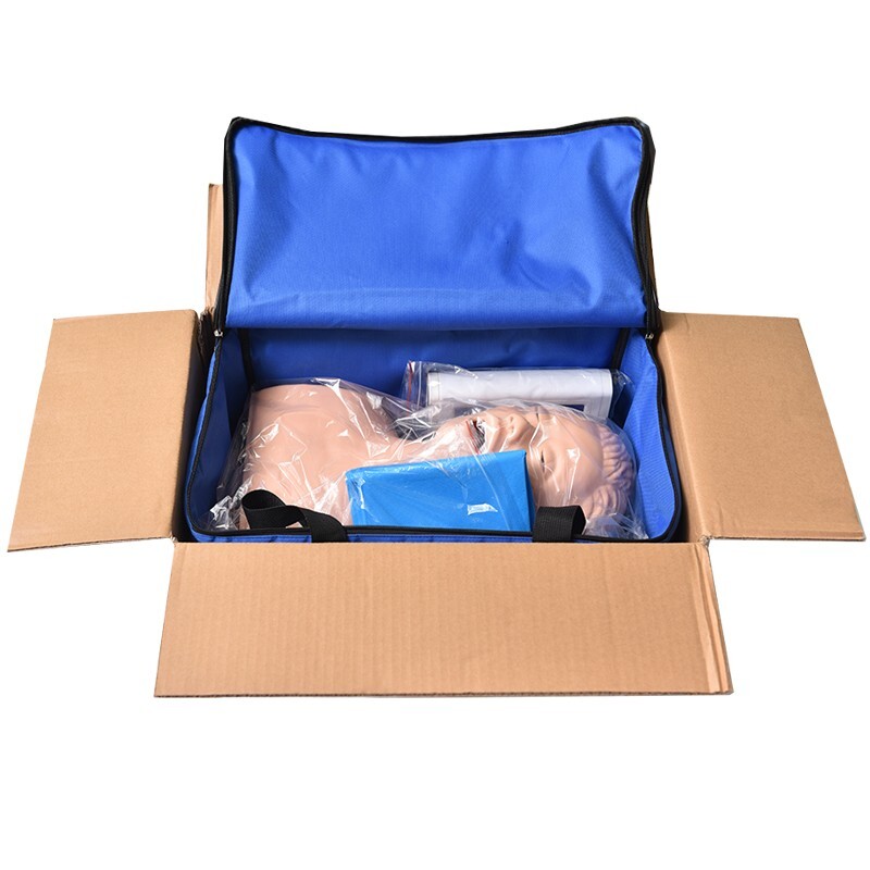 110V-220V Universal Tracheal Intubation Training Teaching Model with Indicator