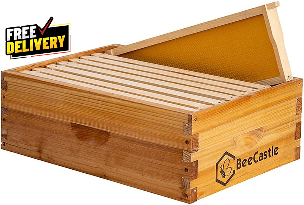 8-Frame Medium Langstroth Bee Hive Box Wax Dipped w Frames Wax Foundation