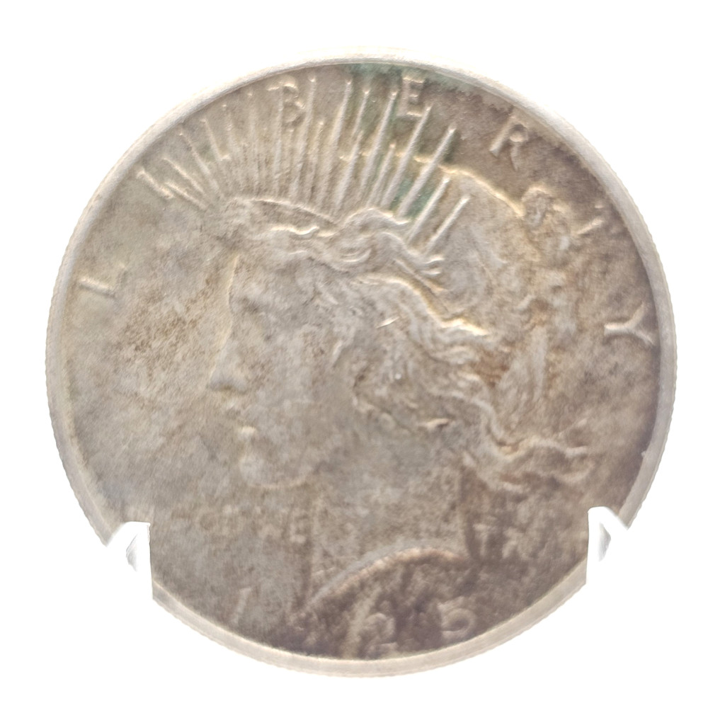 1925 Peace Dollar Darker Tone 90% Silver