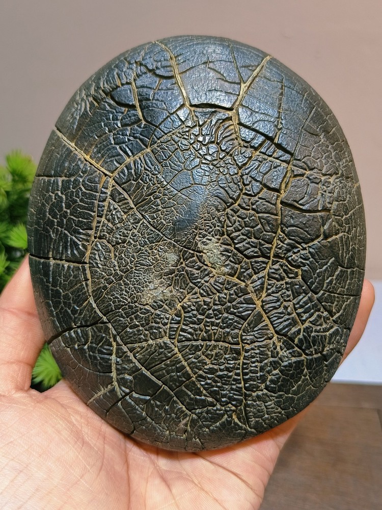 China Natural stone "tortoise back pattern" stone Moire stone 12810558