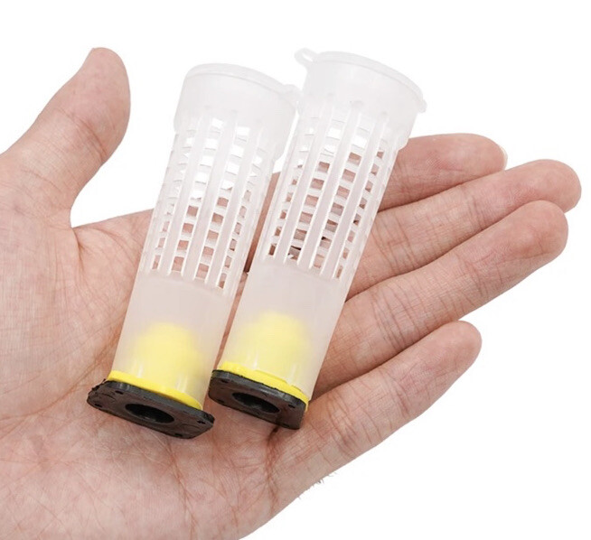 10Pcs Queen Bee Cage - CELL PROTECTOR ROLL - Protective Cover