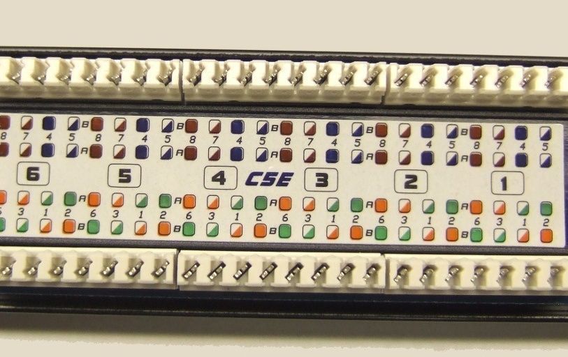 Cat5e 24 Port Patch Panel RJ45 Network 110 Punch Down Rack Mount Wire Management