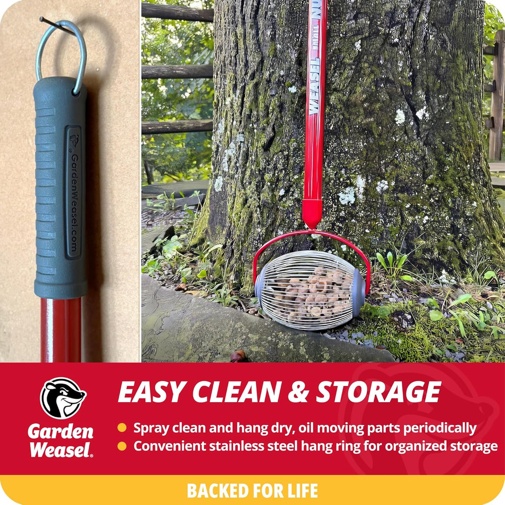 Nut Gatherer - Small Cage | Pick up Small Acorns, Buckeyes, Beech Nuts | Nut Col