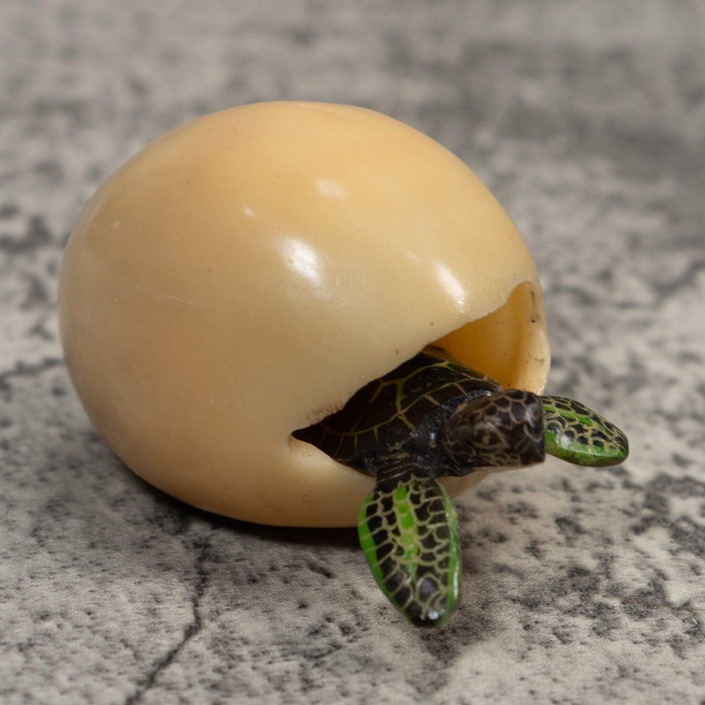 Sea Turtle Emerging From Egg Tagua Carving