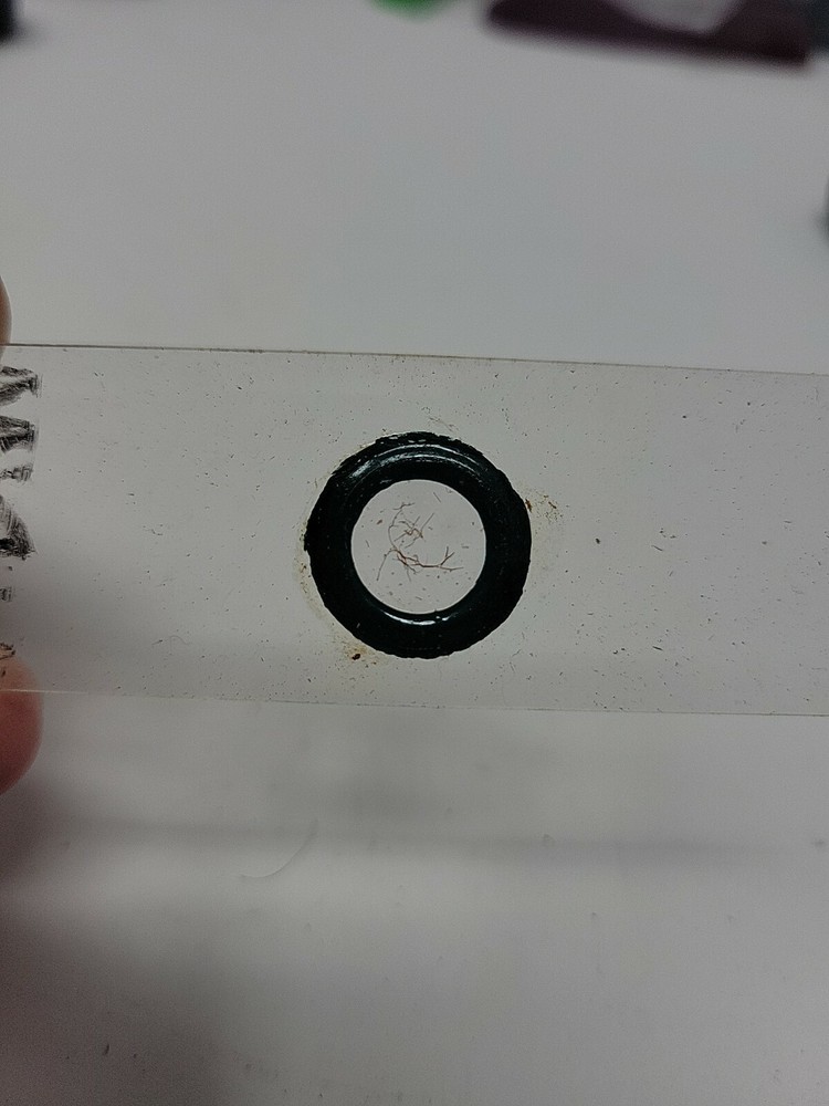 Vintage Microscope Slide 1941