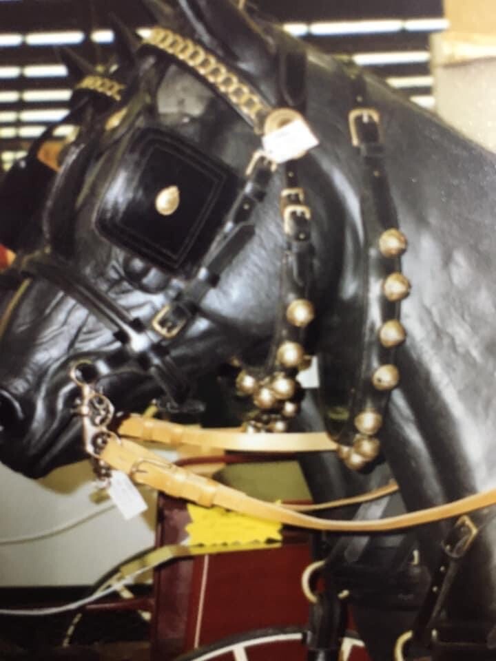 Leaders Leather Neck Bells for Equine of all Sizes, Sound Great!