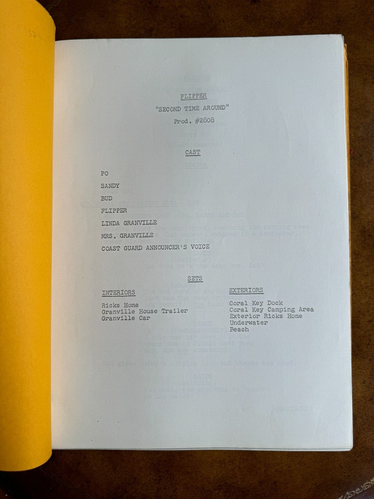 FLIPPER TV Show Original Script 'File Copy' Episode Second Time Around 1964
