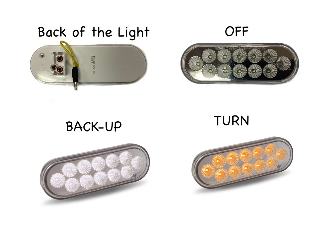 Dual Function Oval Amber Turn Signal and White Back-up LED Light