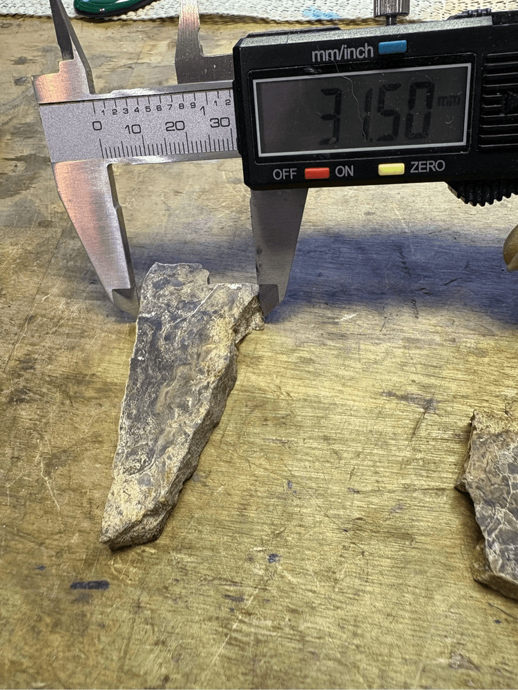Petrified Wood Slabs (2)