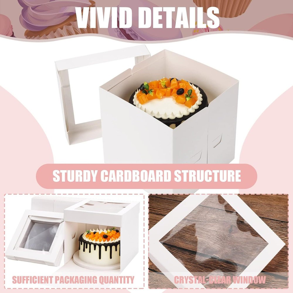 10 Pieces Cake Boxes Tall Box White Pie Deep with