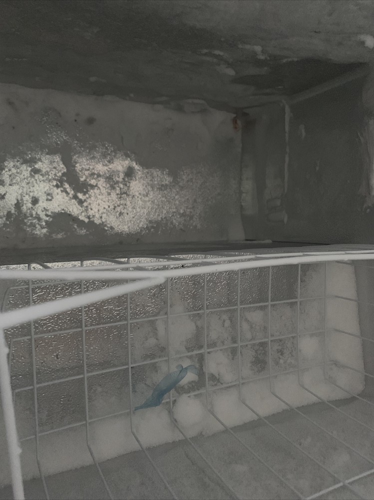 freezer