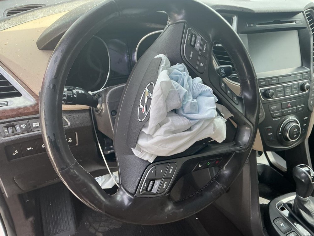 SANTA FE 2017 Glove Box 4978738