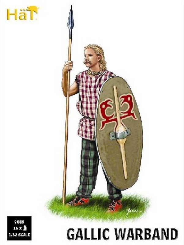 1/32 Gallic Warband (16)